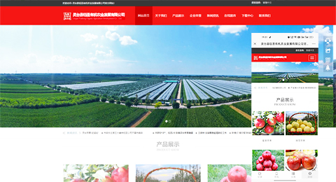 企業網站、程序軟件App解決方案